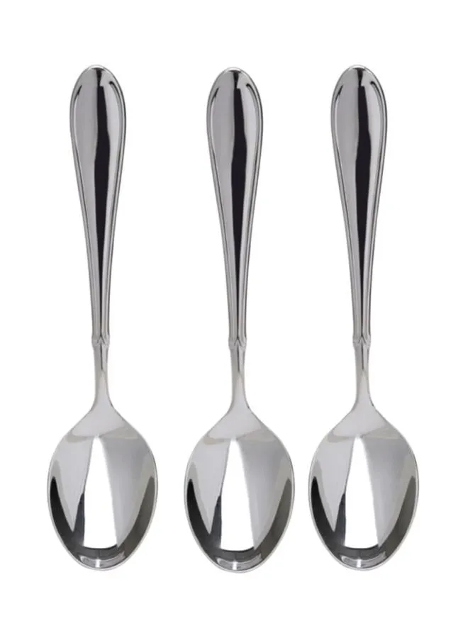 Winsor 3- Piece Table Spoon Set Stainless Steel Silver