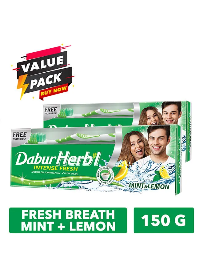 Dabur Herbal Fresh Gel Toothbrush Pack of 2 150grams