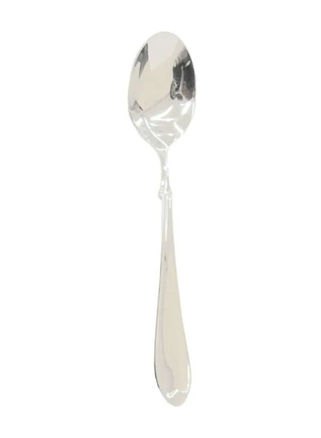 Winsor Stainless Steel Table Spoon Silver 24x11.7x15.1cm