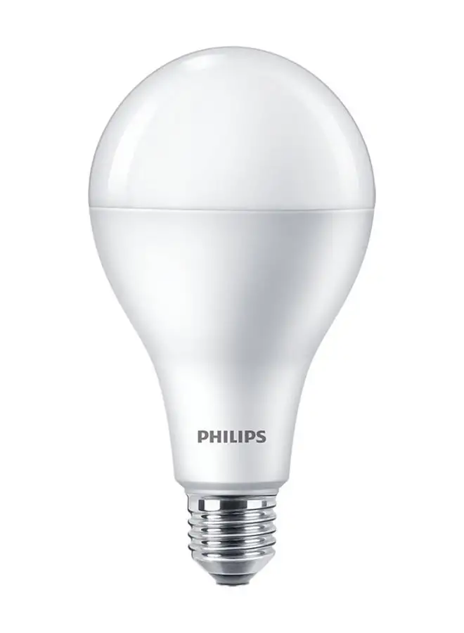 Philips Philips LED Bulb 19W E27 6500K 230VA80 1CT/6APR Cool Day Light