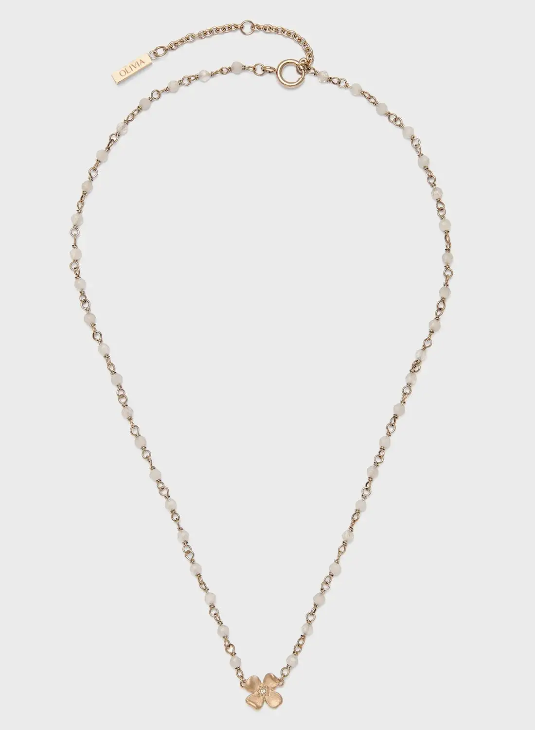 OLIVIA BURTON Ionic Plated Long Necklace