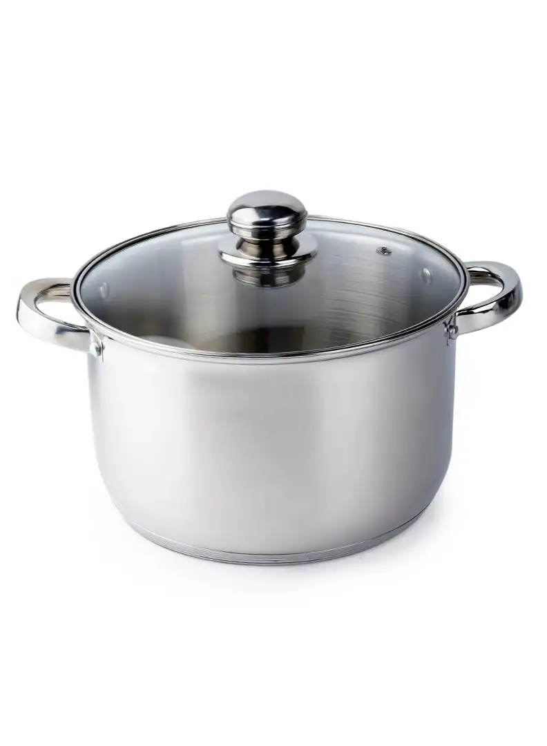 Wilson Amara Stainless Steel Casserole Pot with Twin Handles 24x12.5cm, Vented Glass Lid, Induction Ready, Oven Safe - 5-layer base