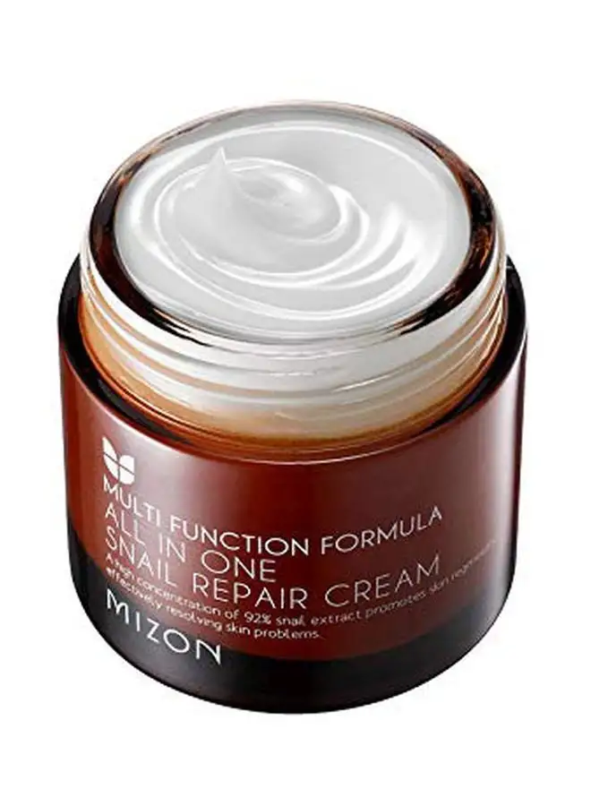 MIZON All-In-One Snail Repair Cream 75ml