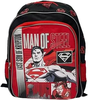 SUPERMAN School Backpack 14