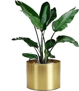 Rising Star Golden Metal Plant Pot, Indoor 8