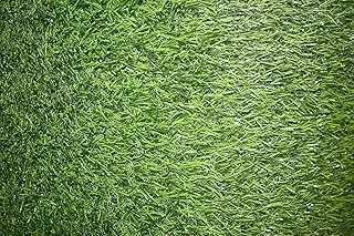 Artificial Grass Carpet Green For Home Outdoor Front/Backyards Garden Decoration - Artificial Grass (3.5mm thikness, Green) (200x200cm) 310