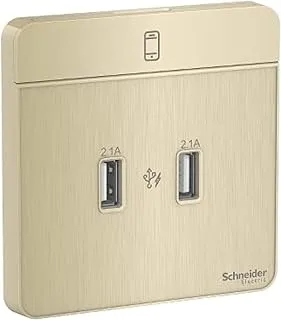 Schneider Electric AvatarOn, USB charger, 2 type A, 2.1 A, Metal Gold Hairline (Model Number-E8332USB_GH)