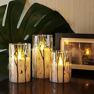 Rhytsing Birch Design Glass Battery Operated LED Candles with Timer, Flameless Pillar Candles Spring & Summer Decor, Batteries Included - Set of 3