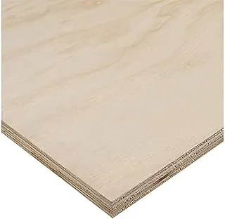 BPA® The Hardware Stop Commercial Plywood Sheet (18mm)