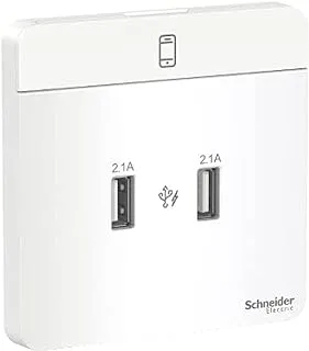 Schneider Electric AvatarOn, USB charger, 2 type A, 2.1 A, White (Model Number-E8332USB_WE)