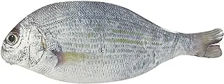 Wrapables® Novelty Fish Style Pencil Case, White