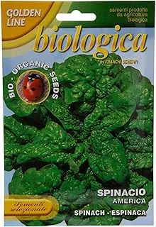 Franchi Golden Line Le Biologiche Spinacio America Organic Seeds