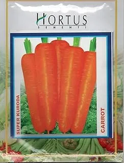 Hortus Sementi Carrot Seeds