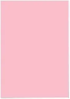 Funbo 220gsm Chart Paper 20-Piece Set, 50 cm x 70 cm Size, Light Pink