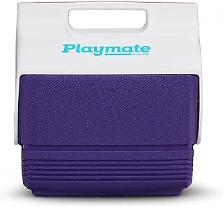 IGLOO Playmate Cooler