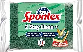 Spontex Sponges Stay Clean + Pack of 2