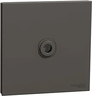 Schneider Electric AvatarOn C Connection Unit 25A 250V 1 gang dark grey E8731TB_DG