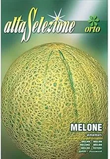 Alta Selezione Melon Ananas