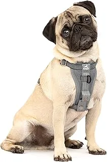 Kurgo Tru-Fit Enhanced Strength Dog Harness - Crash Tested Car Safety Harness for Dogs, No Pull Dog Harness, Includes Pet Safety Seat Belt, Steel Nesting Buckles (Charcoal, Small)