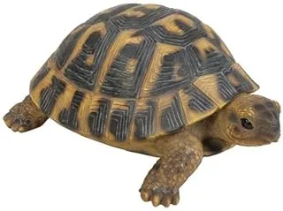 Vivid Art Real Life Hermann Tortoise, 15 cm Size