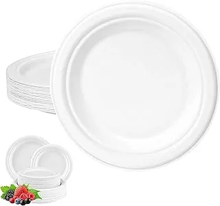 10 Inch Biodegradable Baggase Plates (DOZEN PACK), Super Rigid Bagasse Plates Compostable ECO Friendly Dinner Party Plates 10 inch Perfect for Everyday Use Party Picnic BBQ And Office - Pack of 12.