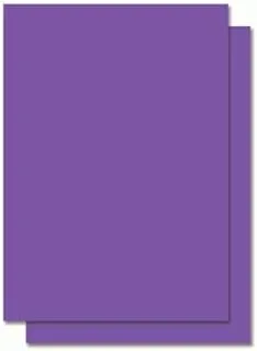 Funbo 220gsm Chart Paper 20-Piece Set, 50 cm x 70 cm Size, Violet