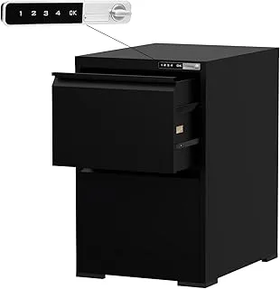 Victory Steel Japan OEM File Cabinet with Touch Screen Digital Lock with USB Charging Support, Portable Cabinet with 2 Storage Drawer, Vertical File Cabinet, Ideal for Office - Black