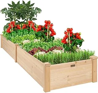 BPA® Vegetable Raised Garden Bed Patio Backyard Grow Flowers elevated Planter