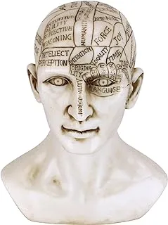 Design Toscano Phrenology the Science of the Brain Victorian Replica Statue