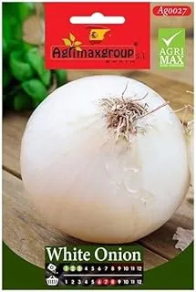 Dubai Garden Centre Spring Onion Feast Seeds