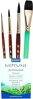 Princeton Neptune Professional Watercolour Brushes 4750 Series - 4pc Soft Synthetic Squirrel Brush Set for Watercolour Painting - Aquarelle 1.9cm - Round 2 - Round 6 - Round 10