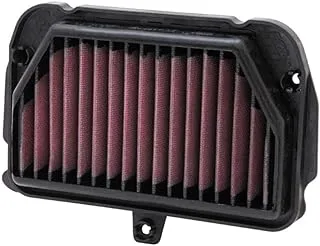 K&N Engine Air Filter: High Performance, Premium, Powersport Air Filter: Fits 2009-2019 APRILIA (Tuono, V4 1100 Factory, V4 1100RR, 1000 R, 1100RR ABS, RSV4, APRC) AL-1010R