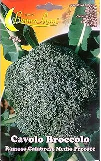 Buona Luna Broccoli Seeds