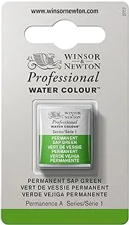 Winsor & Newton Professional Watercolor, Half Pan, Permanent Sap Green