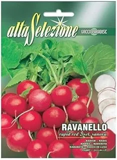 Alta Selezione Radish Rapid Red Seeds