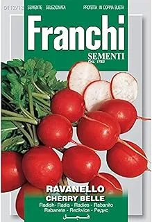 Franchi Radish Cherry Belle Seed