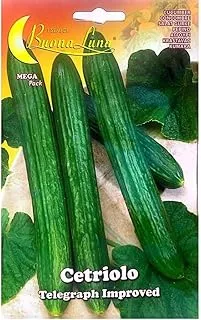 Buona Luna Cucumber Seeds