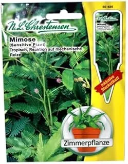 N.L. Chrestensen Mimose Sensitive Plant Seeds