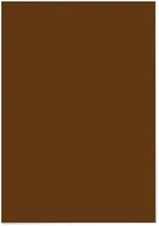 Funbo 220gsm Chart Paper 20-Piece Set, 50 cm x 70 cm Size, Brown