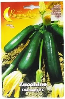 Buona Luna Zucchini Cucumber Diamant Hybrid Seeds