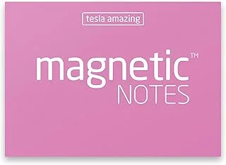 Tesla Amazing S Size Magnetic Notes - Pink