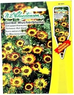 N.L. Chrestensen Chrysanthemum Schwarz Rot of Gold Seed