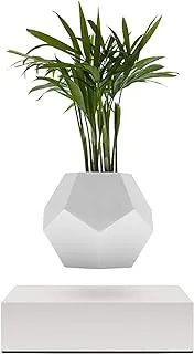 FLYTE - Lyfe Floating Flower Pot for Air Plants, White Pot, White Base