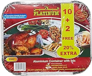 Platinum Disposable Plates - 10 Pieces