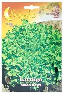 Buona Luna Lettuce Lattuga Seeds