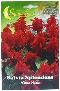 Buona Luna Salvia Splendens Flower Seeds 0.30 g