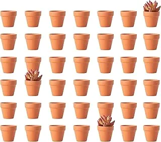 ERNETTE 42PCSmini Terracotta pots with Drainage Holes, Succulent pots Terracotta pots for Indoor and Outdoor Plants DIY Color and Pattern pots（2.16 in）