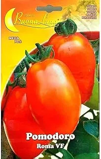 Buona Luna Tomato Seeds 2 g