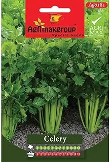 Agrimaxgroup Celery Seeds, Green