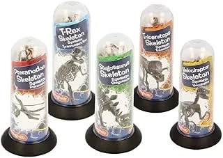 Magnoidz 3D Dinosaur Skeletons